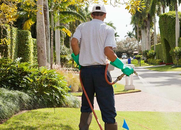 About North Haverhill NH Pest Control Pros